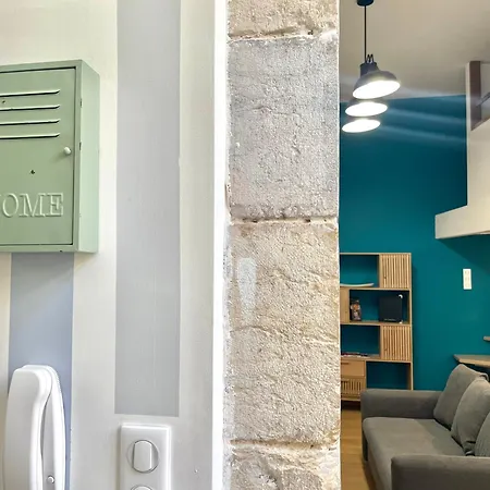 Le Loft Pasteur Centre Historique De