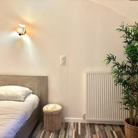 Le Loft Pasteur Centre Historique De Apartment *
