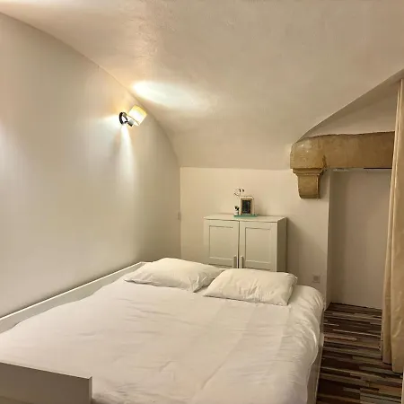 Le Loft Pasteur Centre Historique De