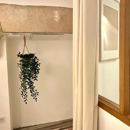 Le Loft Pasteur Centre Historique De Apartment Dijon
